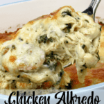 Front view of spatuala filled with chicken alfredo casserole hovering over a casserole dish