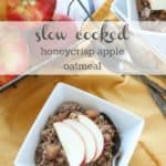 Top view of apple oatmeal crisps in a white bowl - slow cooker breakfast