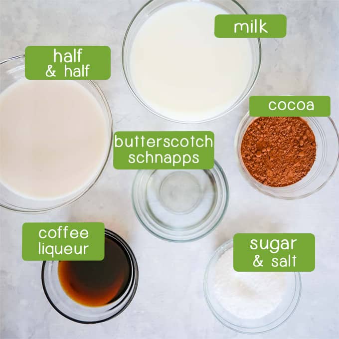 Overhead shot of ingredients- milk, half and half, cocoa, sugar, salt, coffee liqueur, and butterscotch schnapps.