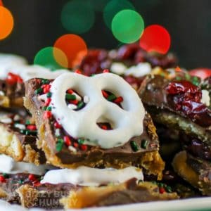 Close up shot of Christmas bark pieces on a white plate with Christmas lights in the background.