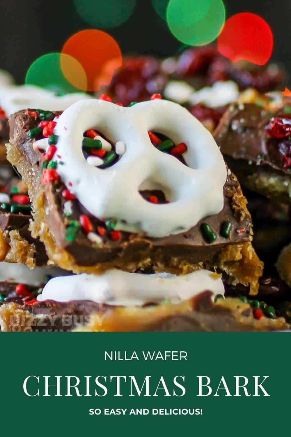 Close up shot of Christmas bark pieces on a white plate with Christmas lights in the background.