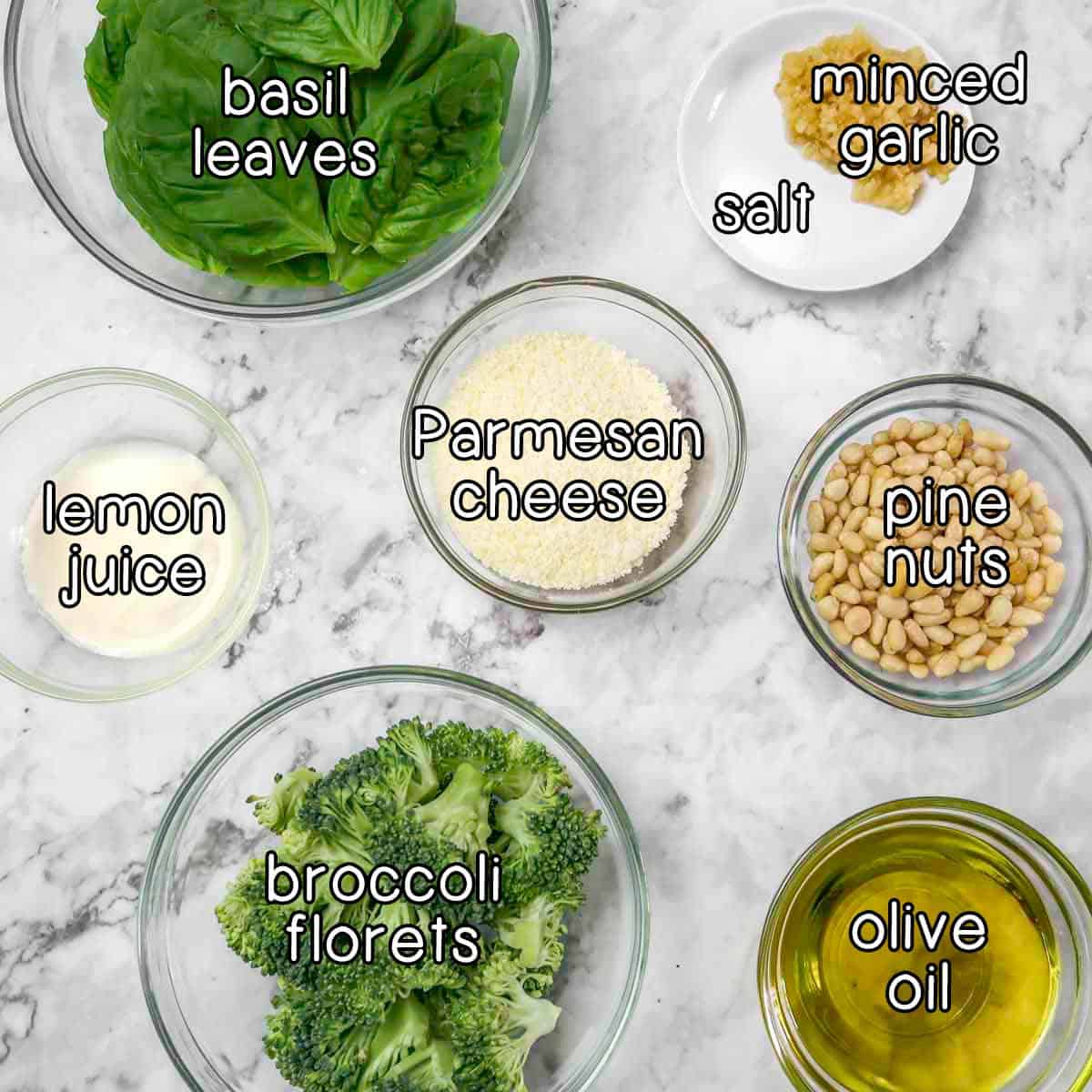 Overhead shot of ingredients- Basil leaves, minced garlic, salt, parmesan cheese, lemon juice, pine nuts, broccoli florets, and olive oil.