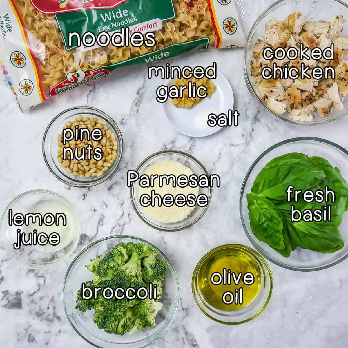 Overhead shot of ingredients- noodles, minced garlic, salt, cooked chicken, pine nuts, parmesan cheese, lemon juice, broccoli, olive oil, and fresh basil.