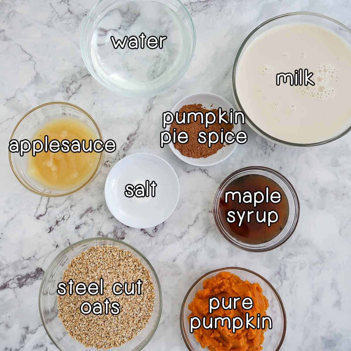 Overhead shot of ingredients- milk, water, applesauce, pumpkin pie spice, salt, maple syrup, pure pumpkin, and steel cut oats.