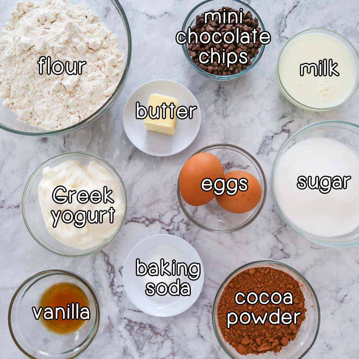 Overhead shot of ingredients- flour, mini chocolate chips, milk, butter, Greek yogurt, eggs, sugar, vanilla, baking soda, and cocoa powder.