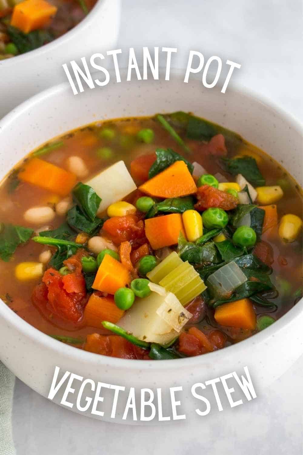Instant Pot Vegetable Soup - Dizzy Busy and Hungry!