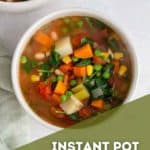 Instant pot vegetable stew in a white bowl.