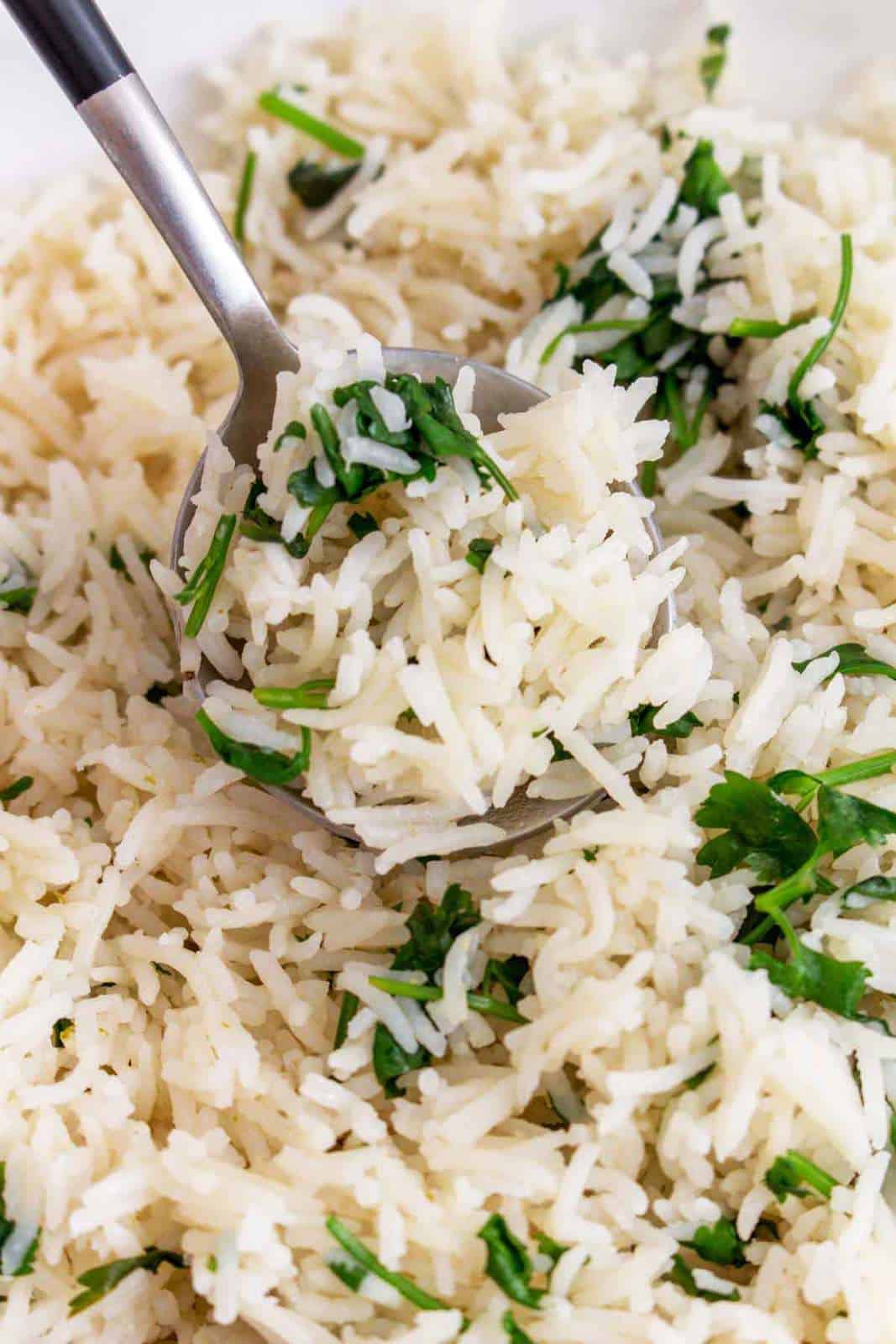 A spoonful of cilantro lime rice lifting from a plate.