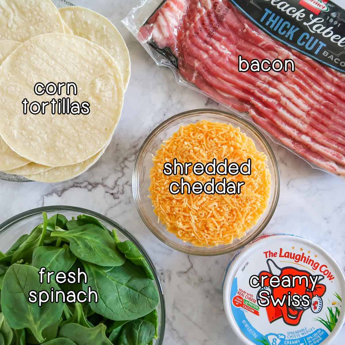 Overhead shot of ingredients - corn tortillas, bacon, shredded cheddar, fresh spinach, and creamy Swiss cheese.