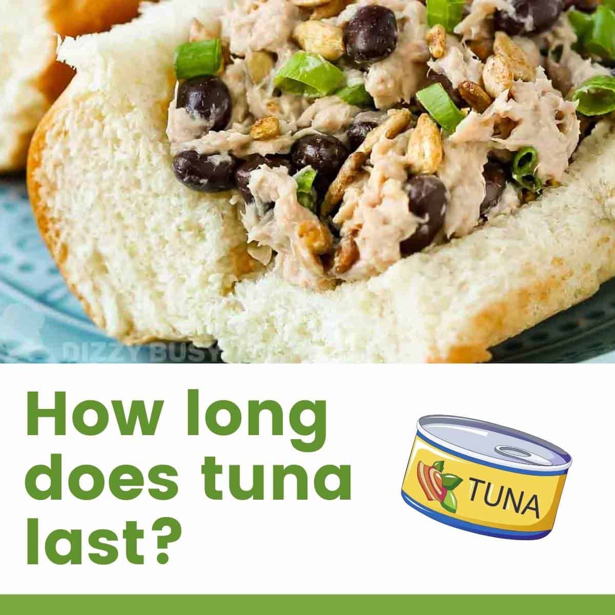 How Long Does Tuna Last Dizzy Busy And Hungry 