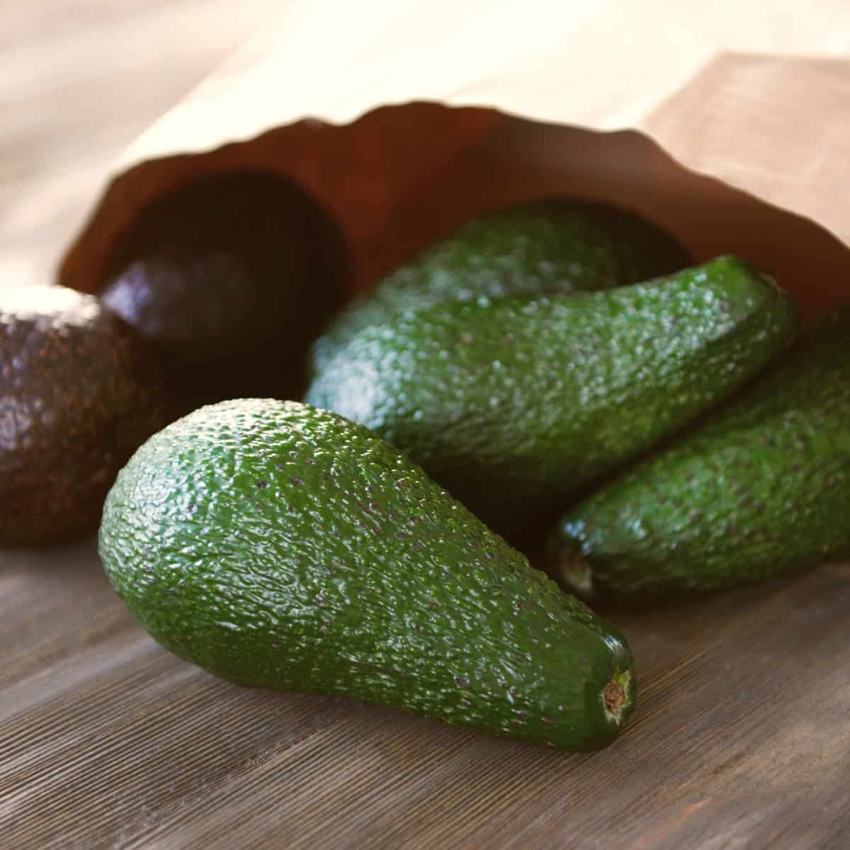 Unripe and ripe avocados spilling out of a brown paper bag sitting on a wooden surface.