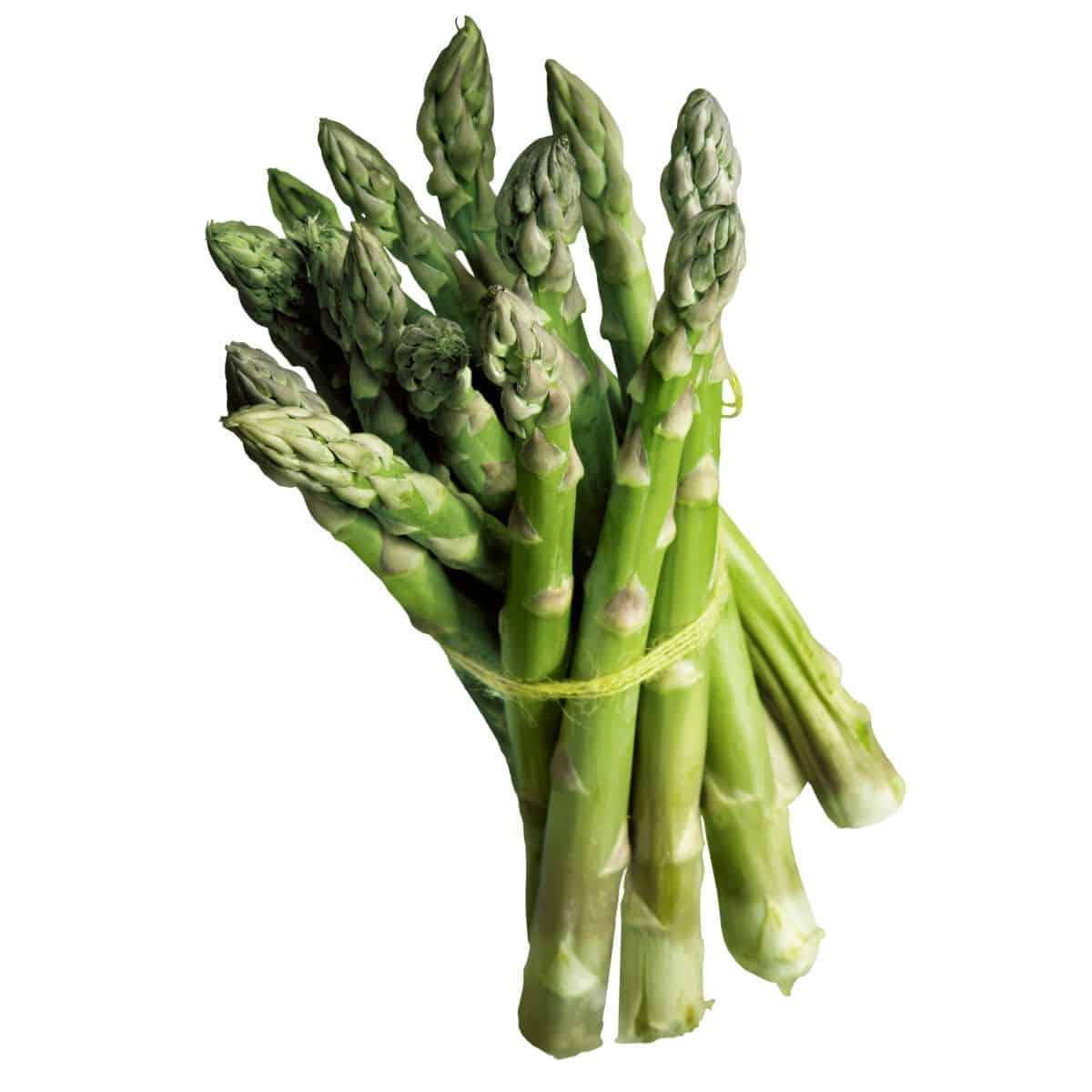 Bundle of asparagus held together with twine on a white background.