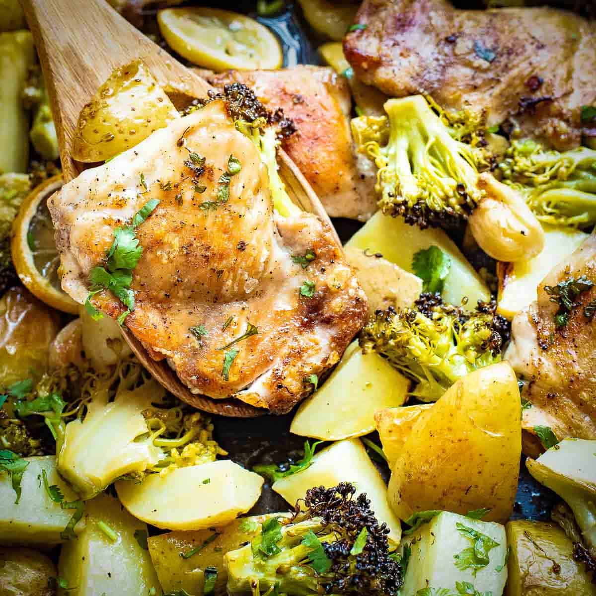 Close up shot of sheet pan chicken with veggies and potatoes garnished with fresh cilantro.