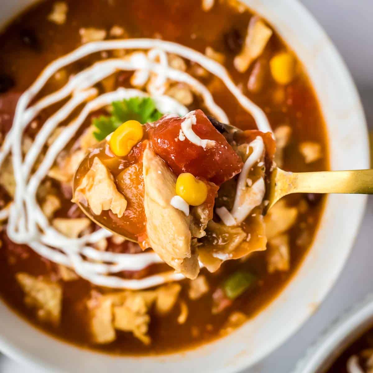 Overhead shot of a spoon holding a scoop of chicken tortilla soup over a white bowl with it.