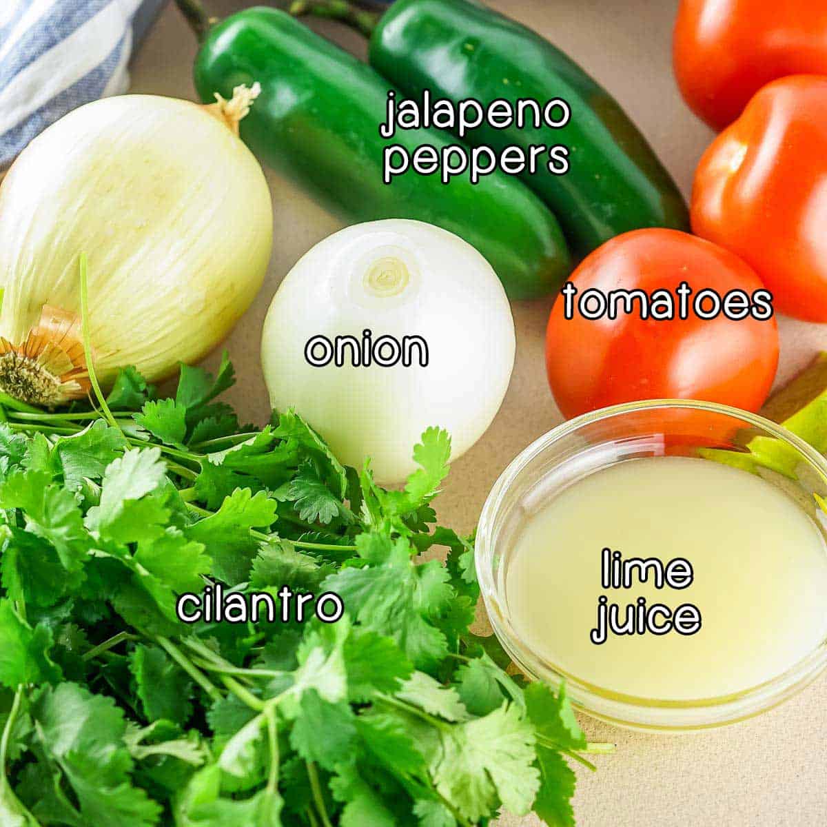 Overhead shot of ingredients - jalapeno peppers, tomatoes, lime juice, onion, and cilantro.