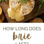 Graphic for how long does brie last?