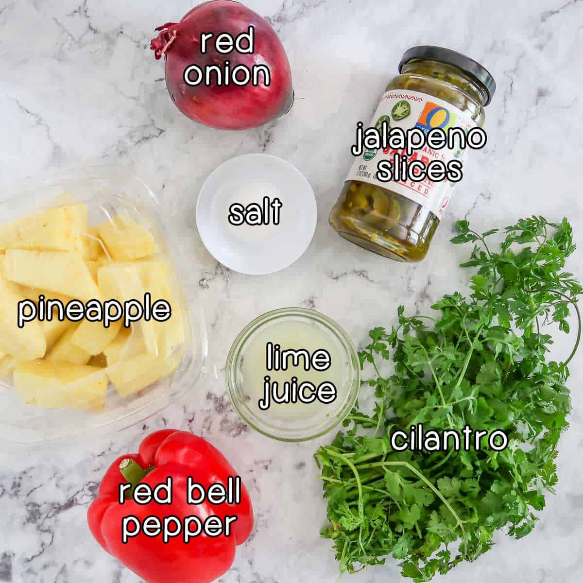 Overhead shot of ingredients - red onion, salt, jalapeno slices. pineapple, cilantro, lime juice, and red bell pepper.
