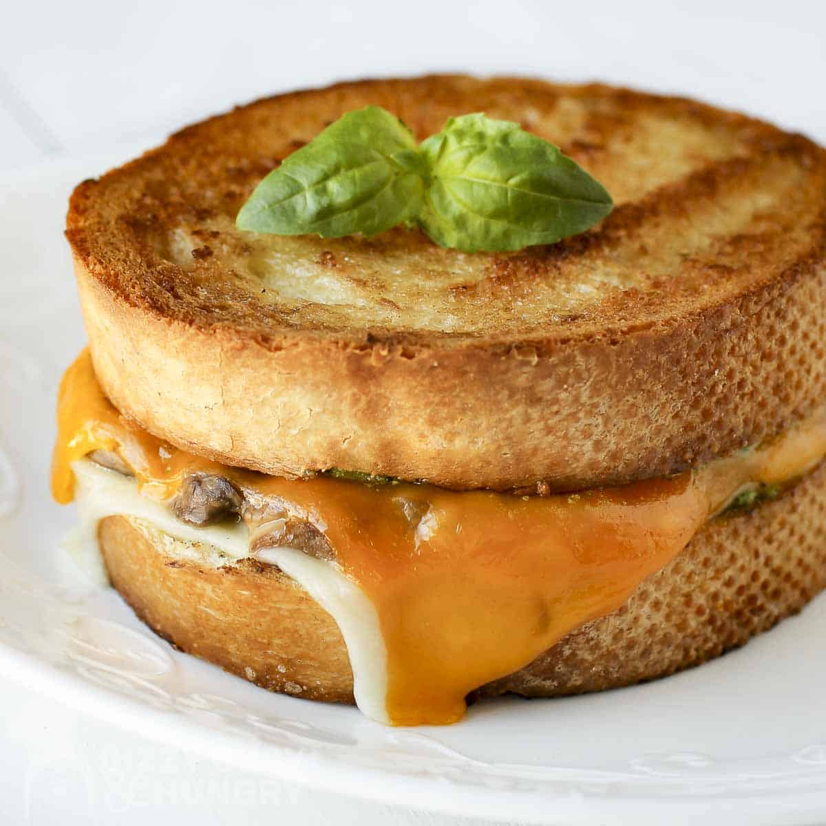 Side close up shot of a grilled cheese mushroom sandwich garnished with fresh basil on a white plate.