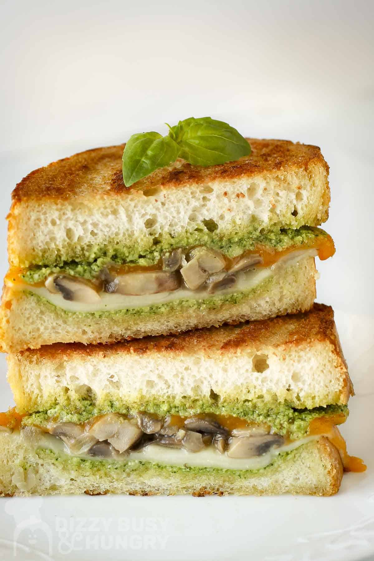Side shot of two halves of grilled cheese mushroom sandwich garnished with basil with a white background.