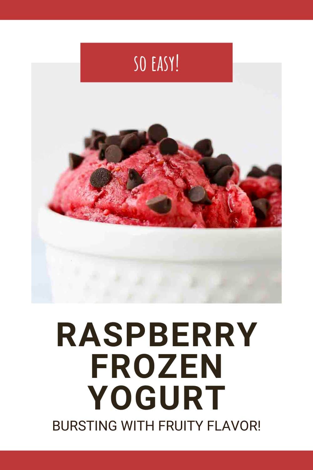5 Minute Raspberry Frozen Yogurt - Dizzy Busy and Hungry!