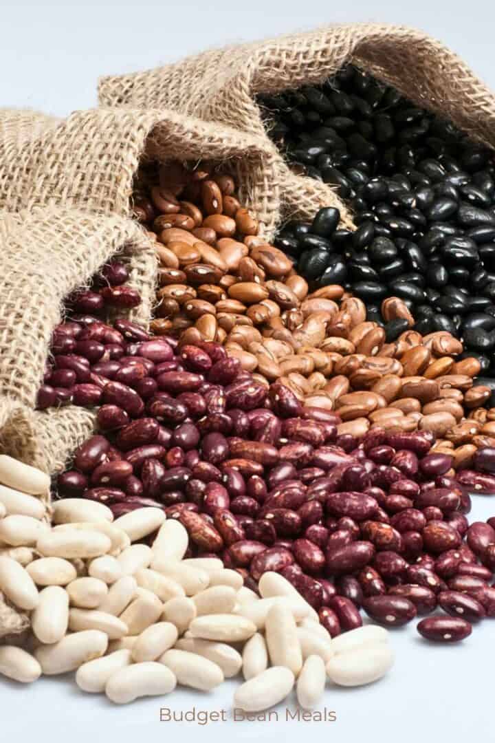 Budget Bean Meals: A Secret Weapon for Affordable Dinners - Dizzy Busy ...