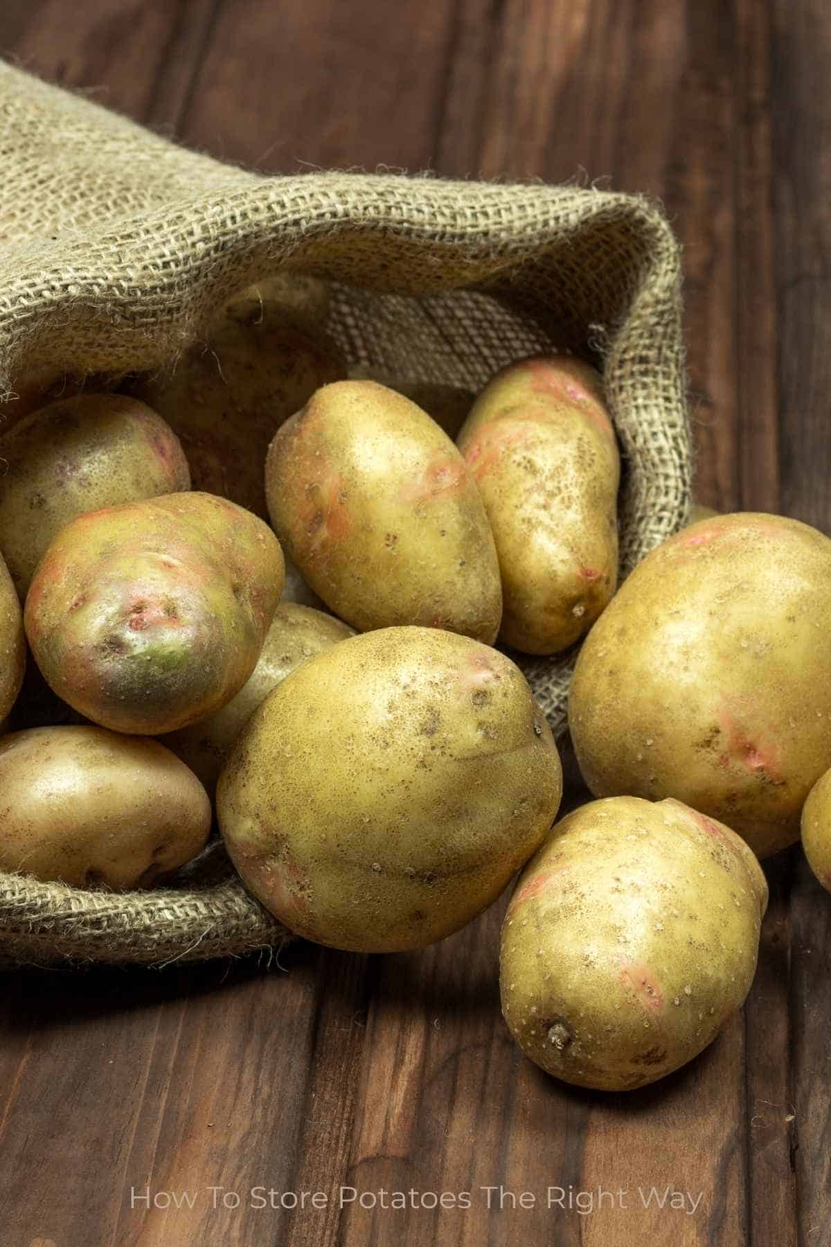 A bunch of potatoes spilling out of a burlap sack on a wooden surface.