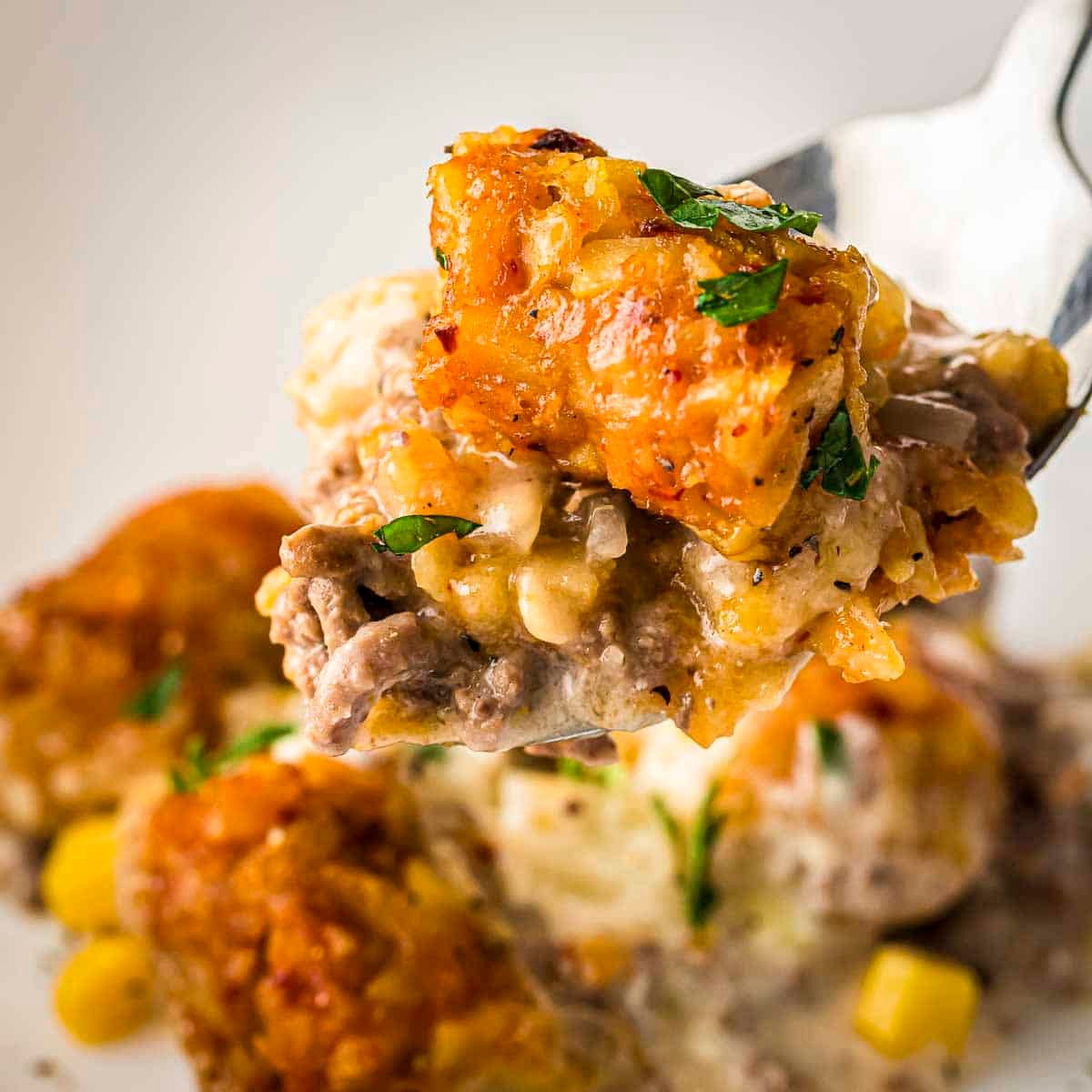 Side view a spoon picking up a piece of cowboy casserole on a white plate garnished with fresh herbs.