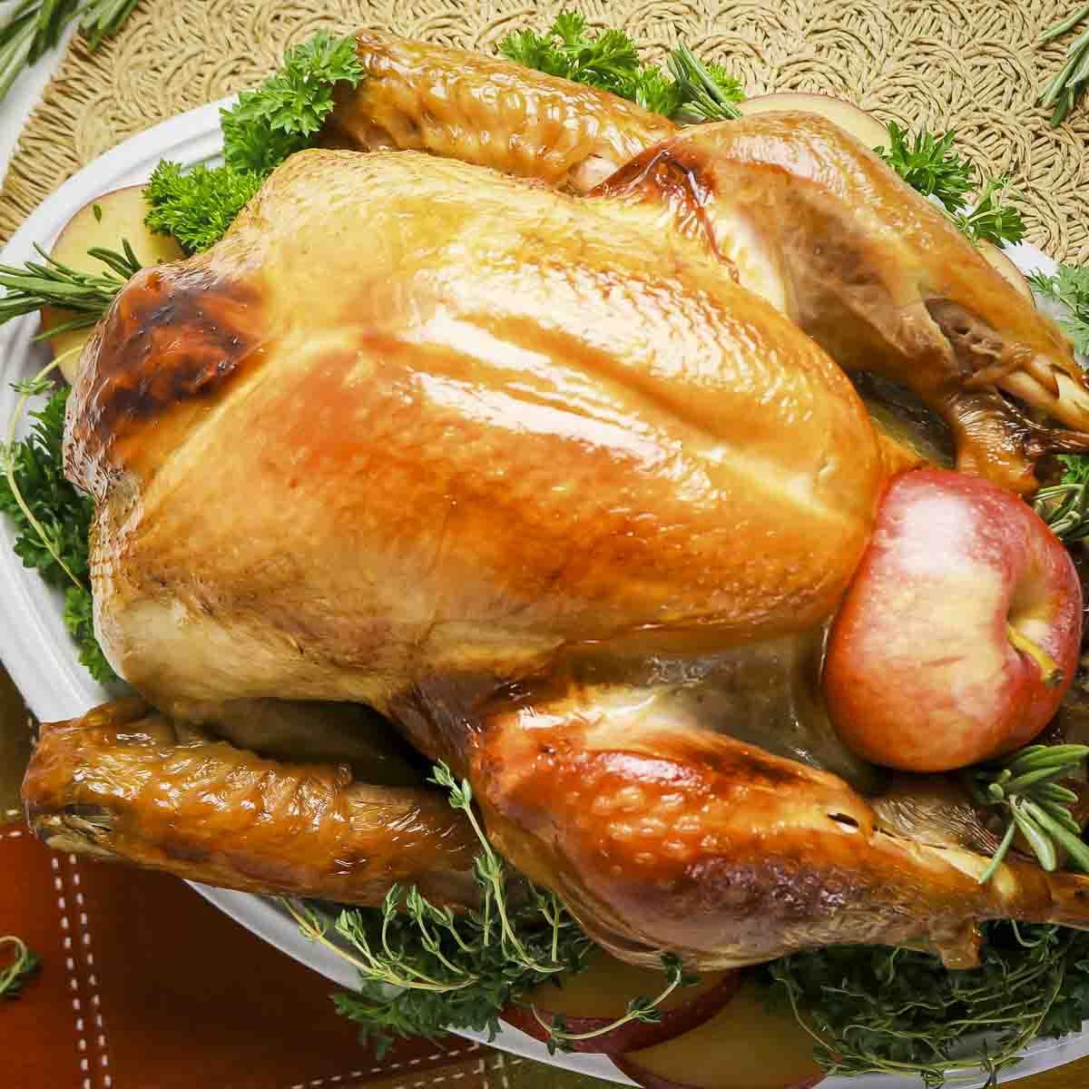 Close up shot of a whole golden-brown turkey on a bed of herbs and apples on a white plate.