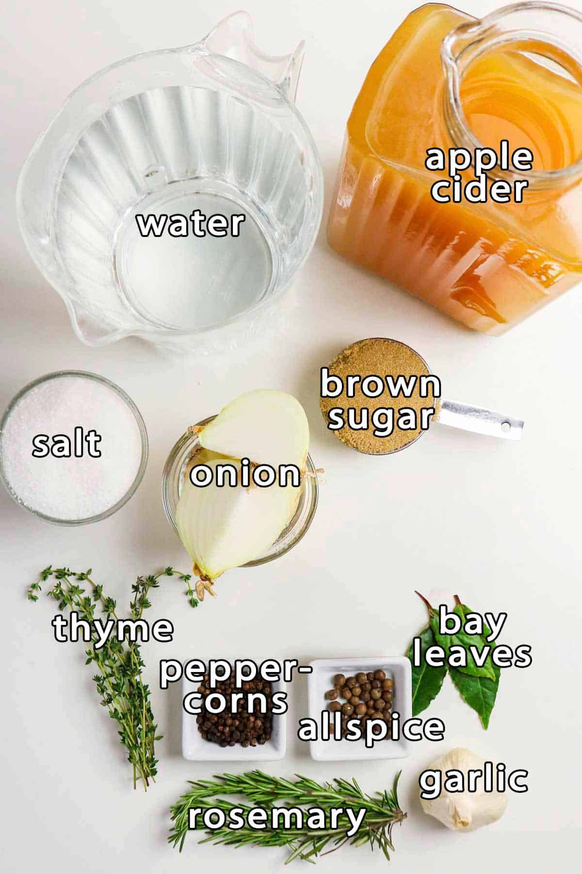 Overhead shot of ingredients - water, apple cider, salt, onion, brown sugar, thyme, peppercorns, allspice, bay leaves, rosemary, and garlic.