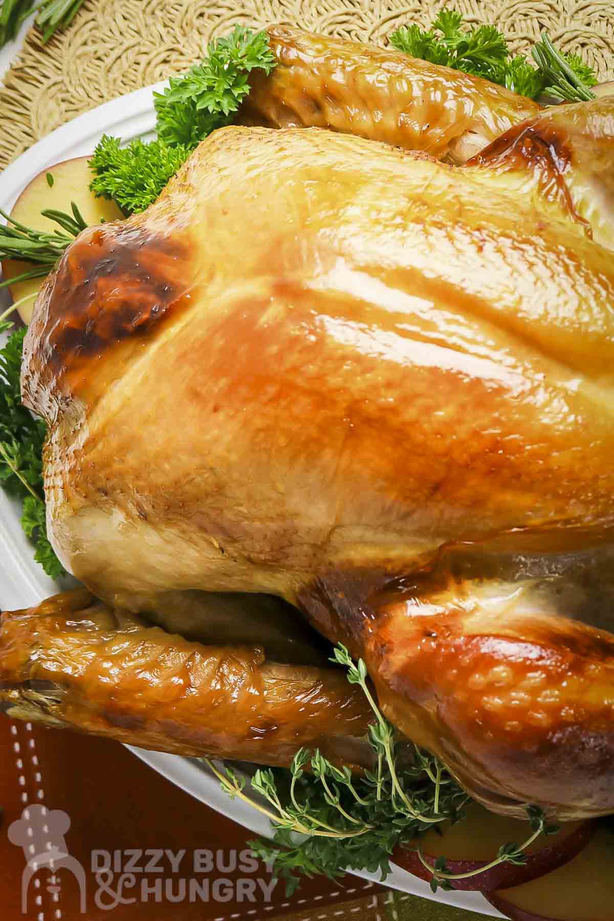 Close up shot of a whole golden-brown turkey on a bed of herbs and apples on a white plate.