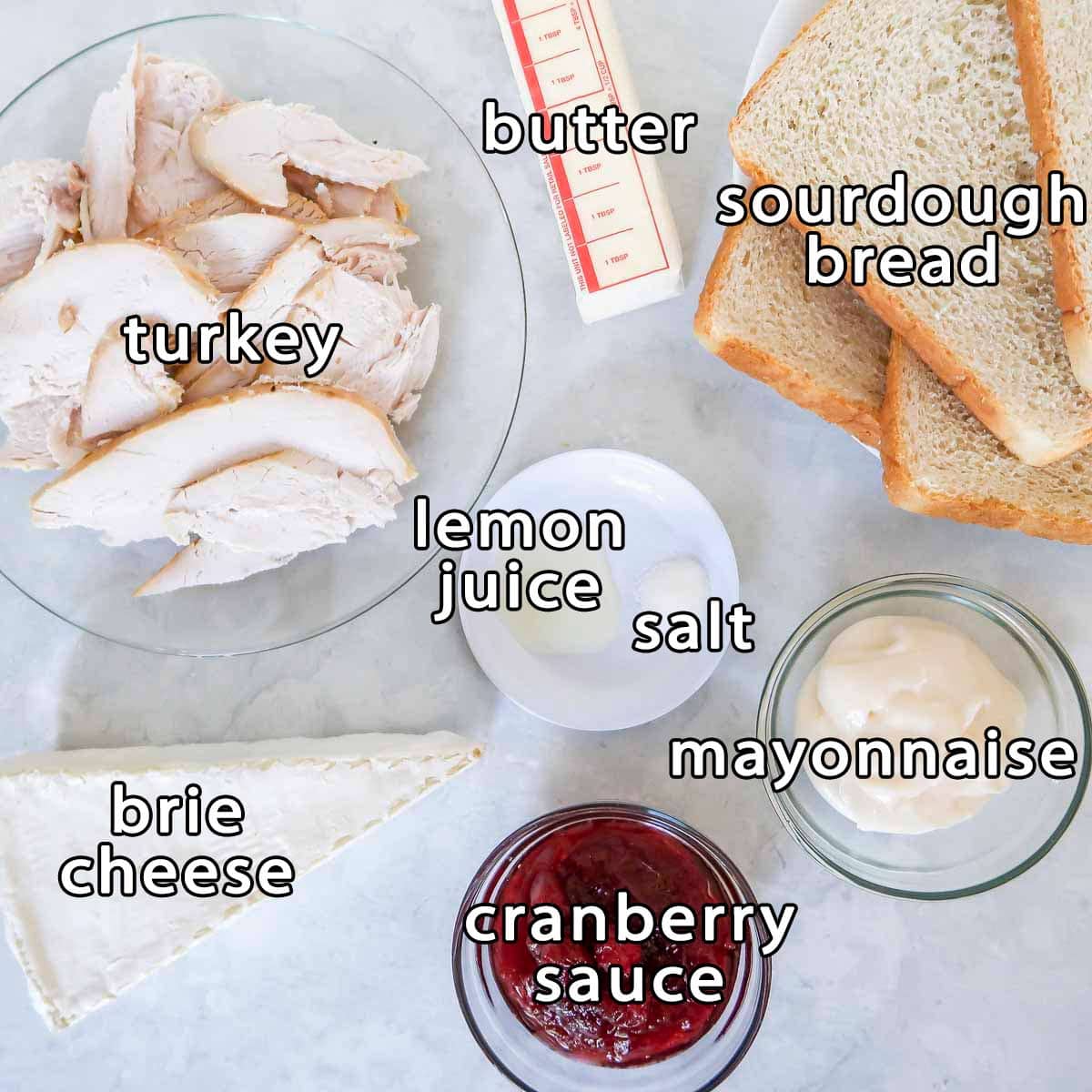 Overhead shot of ingredients - turkey, butter, sourdough bread, brie cheese, cranberry sauce, mayonnaise, lemon juice, and salt.