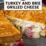 Side shot of turkey and brie grilled cheese cut in half on a black speckled plate.