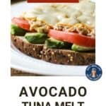 Side close up shot of tuna melt with avocado on a white plate.