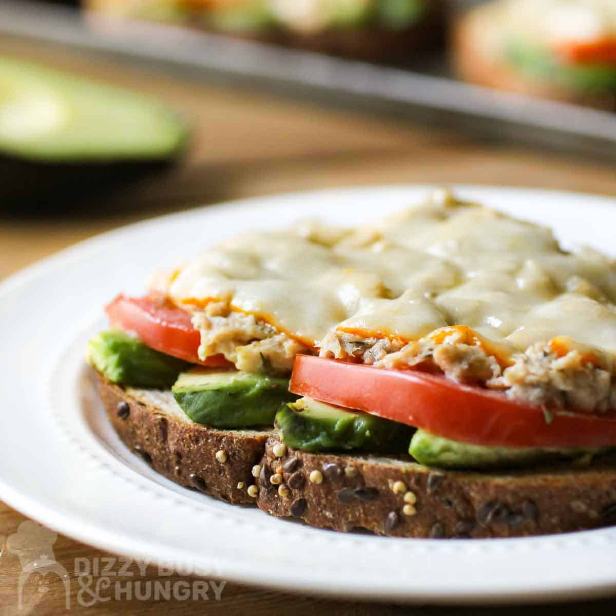 Side close up shot of tuna melt with avocado on a white plate with half an avocado in the background.