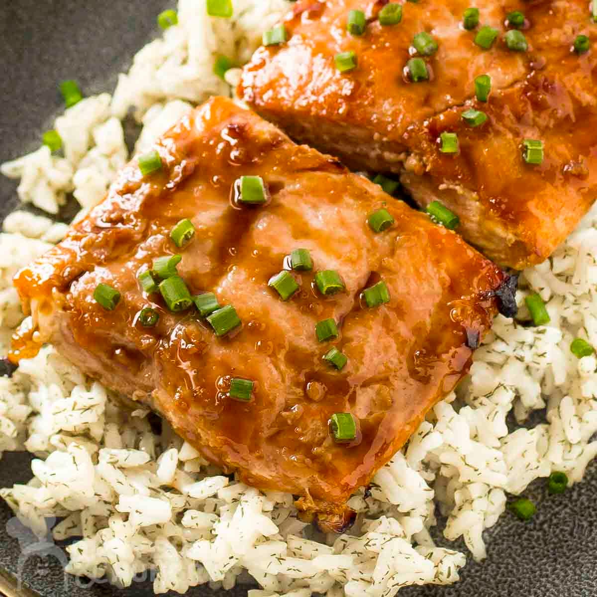 Close up overhead shot of glazed salmon on a bed of rice garnished with fresh green onions in a black bowl.