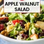 Close up shot of apple walnut salad in a white bowl.