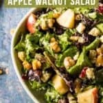 Overhead shot of apple walnut salad in a white bowl.